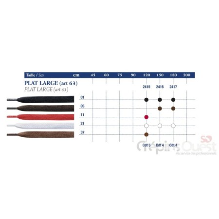 SAPHIR LACET PLAT LARGE 63 120cm Bte de 5p