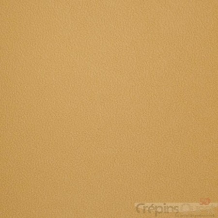 CREPINA SOFT 6 mm PLAQUE 73x63