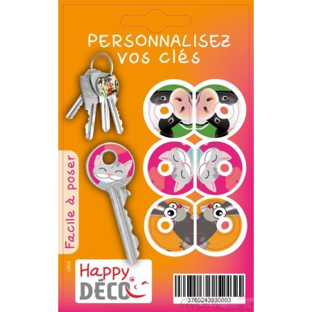 STICKER CLES x3