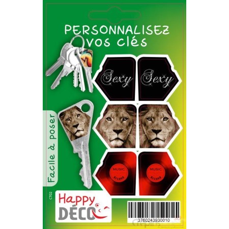 STICKER CLES x3