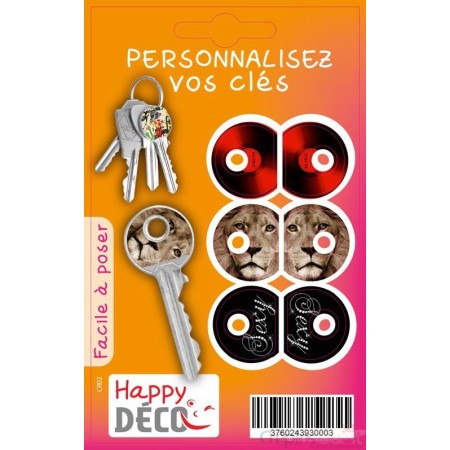STICKER CLES x3