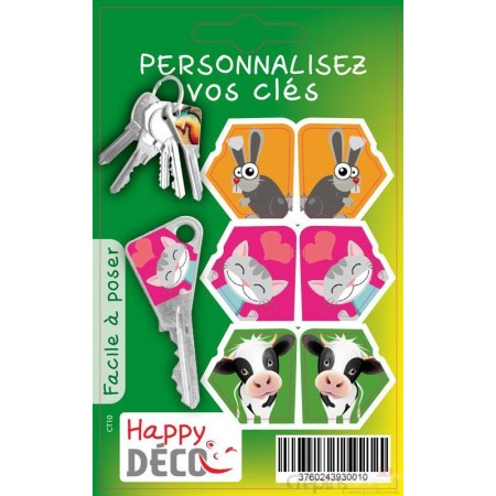 STICKER CLES x3