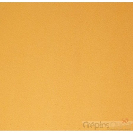 TRANSTOP STRONG 6 mm PLAQUE 96X60