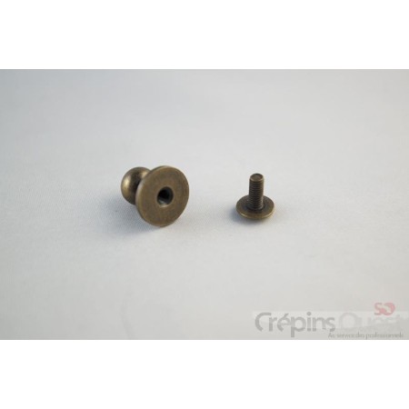 BOUTON CARTOUCHE G.F.